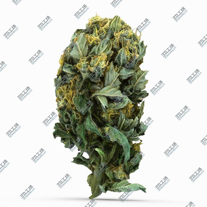 images/goods_img/2021040233/Cannabis Bud 04 model/5.jpg